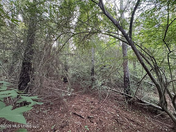 4th image of N Lot 2 River Rd Lot 2