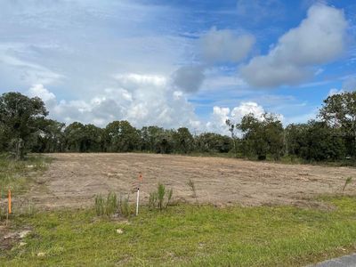 4880 SW Marigold Ct LOT 11, Dunnellon, FL, 34431