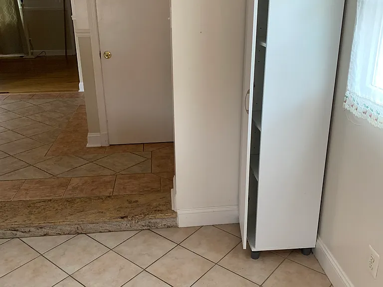 Basement door and extra kitchen closest