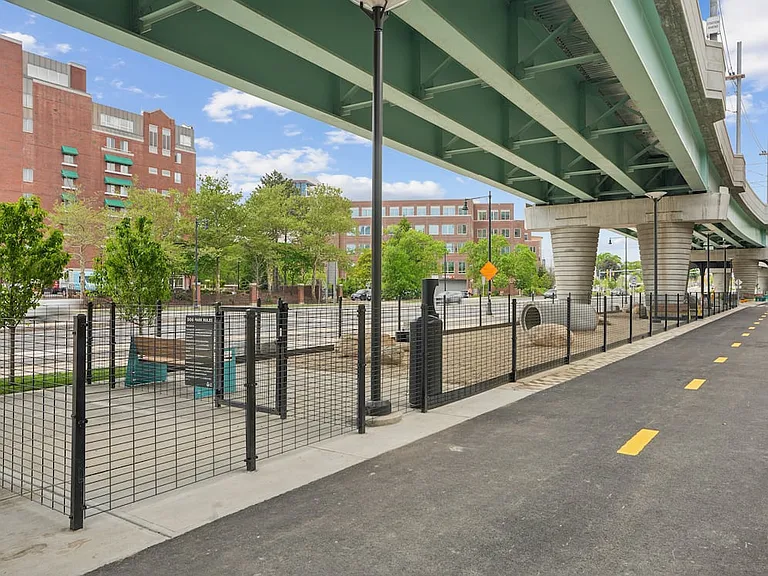 Lechmere dog park