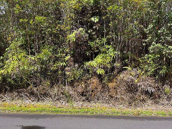 3rd image of Lehua St Lot 7078