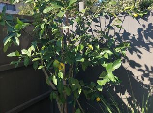 7108 Admiralty Ln #7108, San Mateo, CA 94404