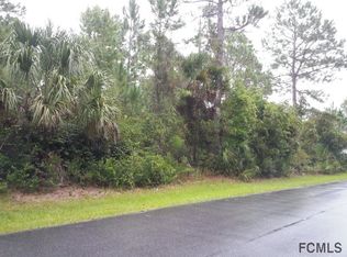 4 Ranston Pl, Palm Coast, FL 32164