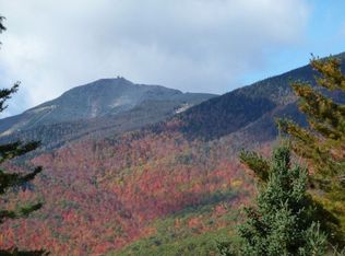 1101 Springfield Rd, Wilmington, NY 12997