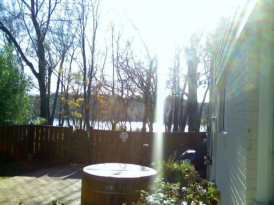 Back window view