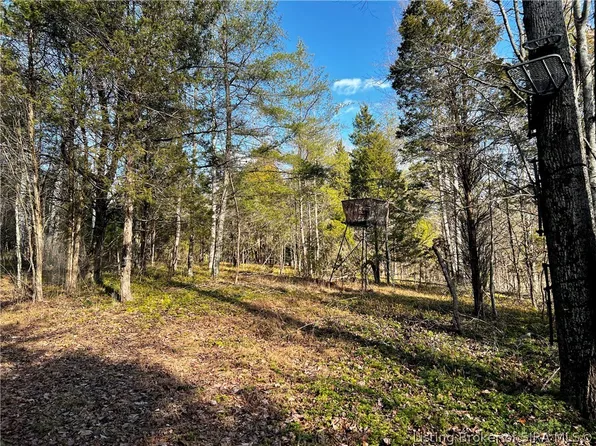 (Tract 1) Reinhardt Road, Lanesville, IN 47136