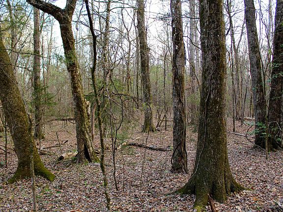 5th image of 1 Moreland Rd #1