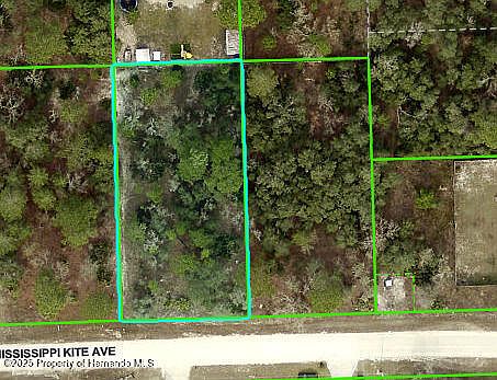 2nd image of 11391 Mississippi Kite Ave