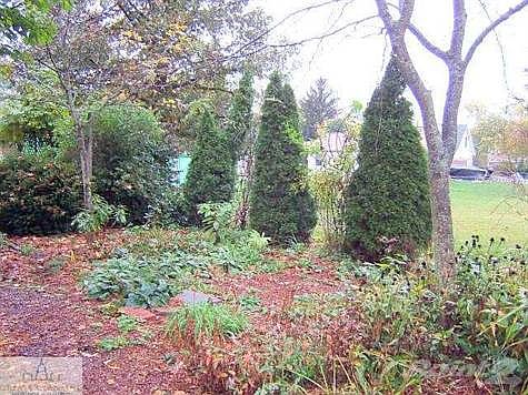 5th image of 6245 Marywood Ave