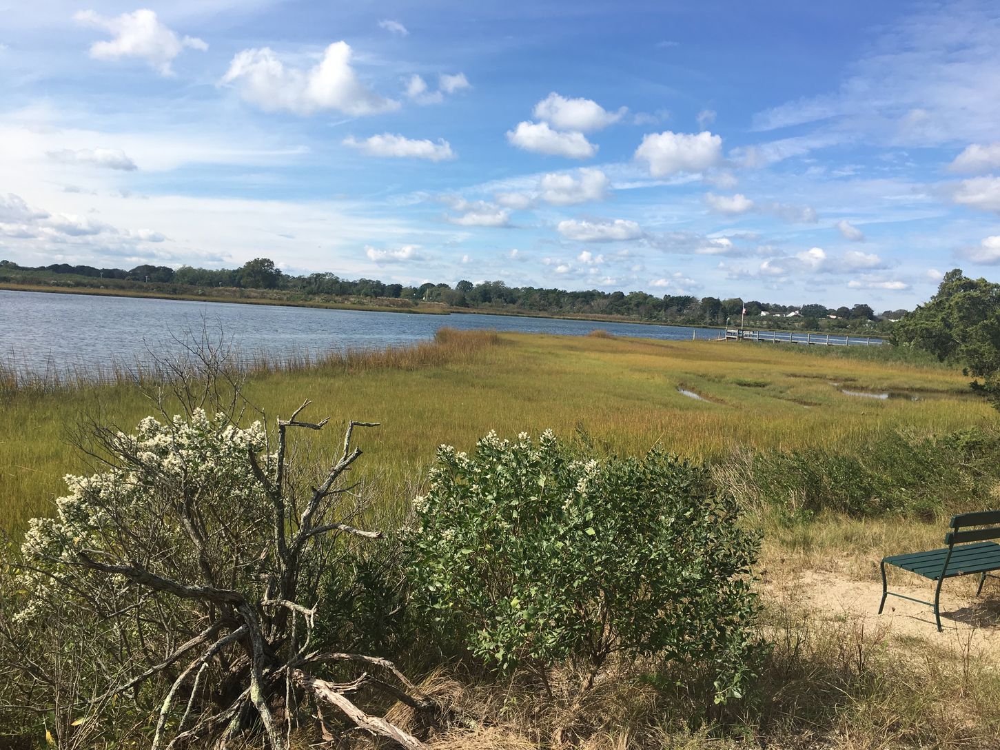  West Creek across the street