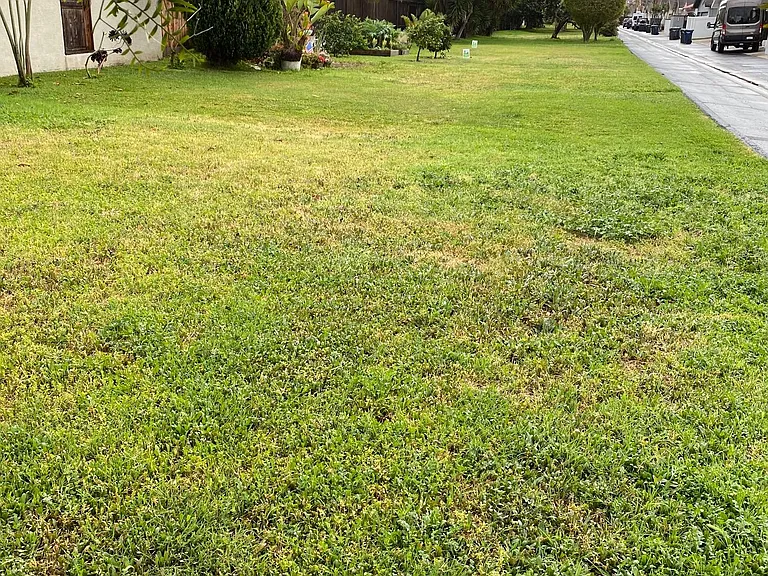 Private linear park behind house looking south from house.
