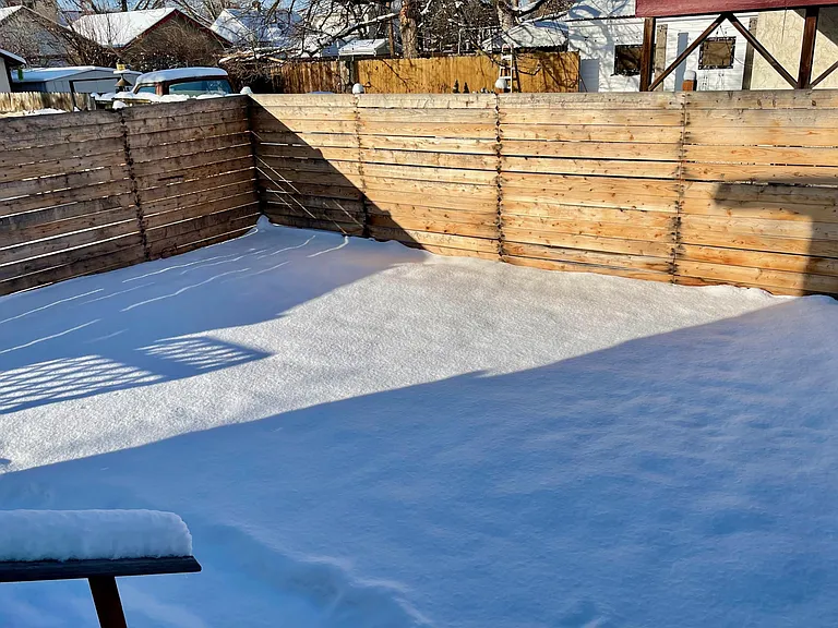 Fenced backyard from back door