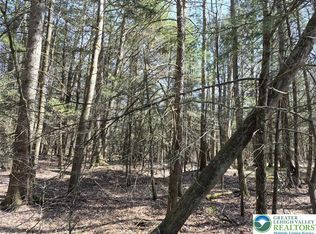 Forks Bridge Rd, Newfoundland, PA 18445