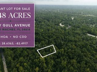 14186 Rosy Gull Ave, Brooksville, FL 34614
