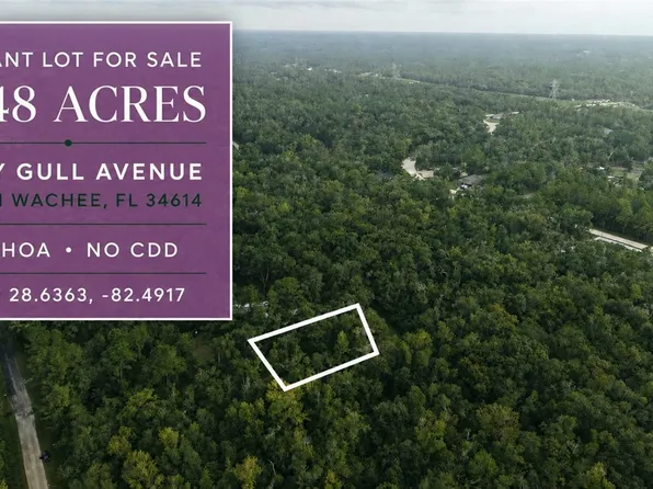 14186 Rosy Gull Ave, Brooksville, FL 34614