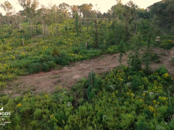 2 Edwards Rd, Kosciusko, MS 39090