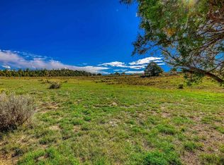 X Tall Pines Place, Pagosa Springs, CO 81147