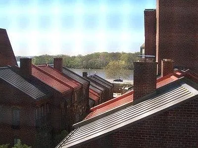 1 bed, 900 sqft, $1,775 — Photo 2