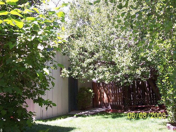 Back Yard & Garage