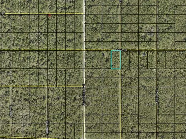 Donna St, Hastings, FL 32145