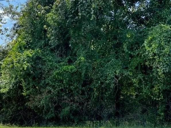 0 Long Meadow Dr, Cottondale, AL 35453