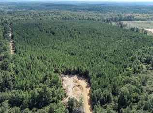 222 Beaverdam Rd, Camden, MS 39045