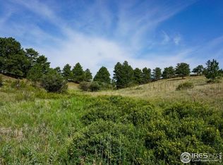 0 Stub Ct, Livermore, CO 80536