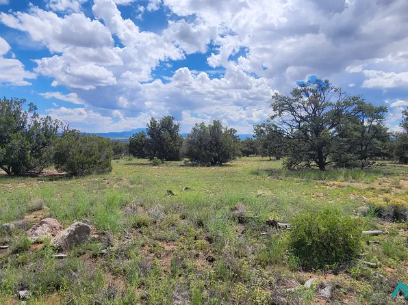 100 Squaw Pass, Quemado, NM 87829