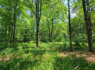 Vl Whitney Rd, Beaverton, MI 48612