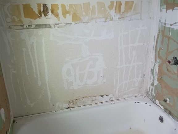 3rd image of 246 Wildwood Ave