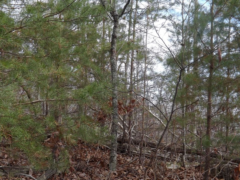 2nd image of Torbett Road