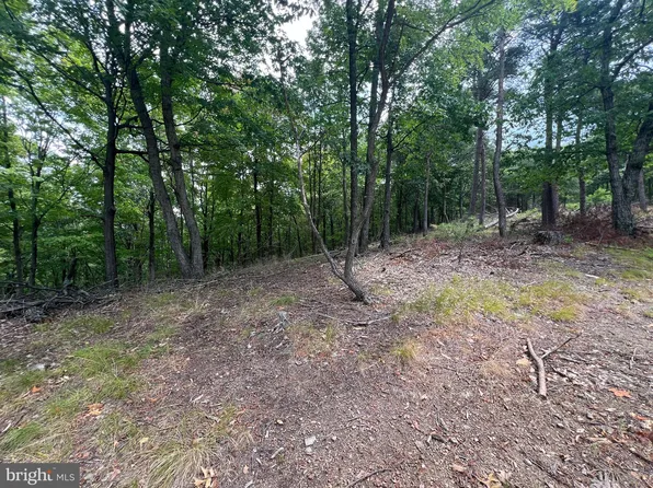 Tucker Ridge Rd, New Creek, WV 26743