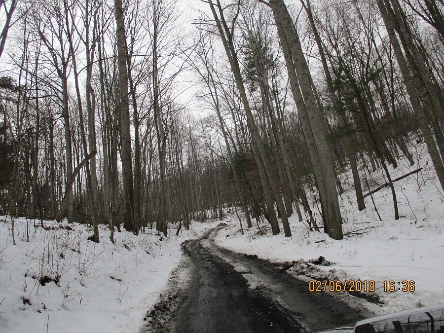 2nd image of 405 Kellison Ln