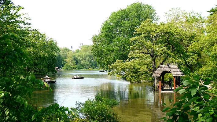 Rented by Town Residential | media 18