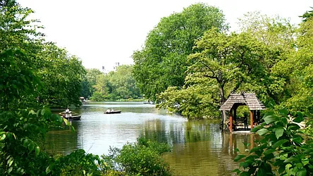 Rented by Town Residential