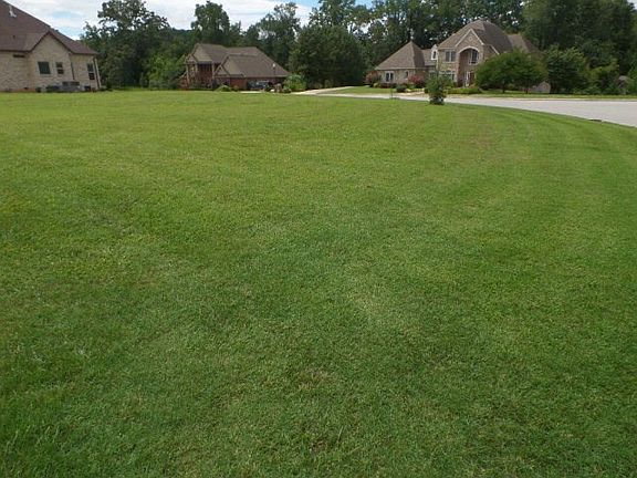 5th image of 975 Stonebridge Cir