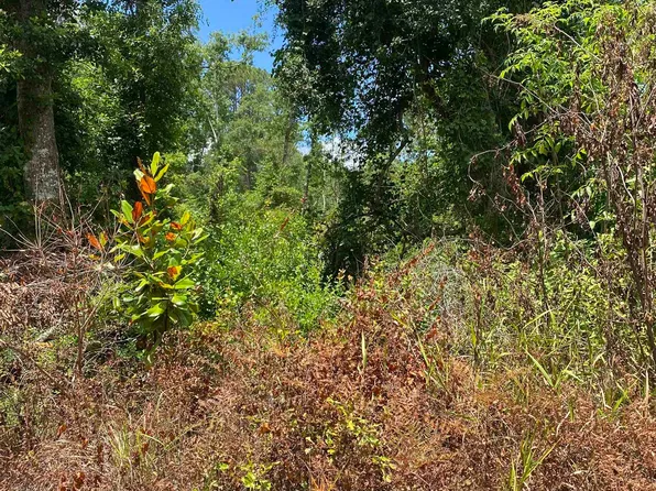 SW Main St, Greenville, FL 32331