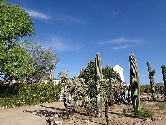 5th image of 3051 W Camino Alto