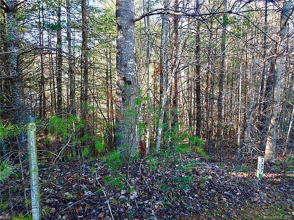 2nd image of 1718 Ash Cove Ct