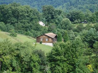 4 Pleasant Valley Dr, Weaverville, NC 28787
