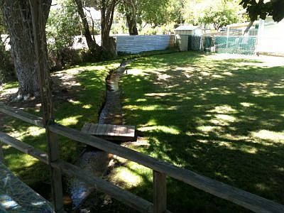 Stream flowing through backyard