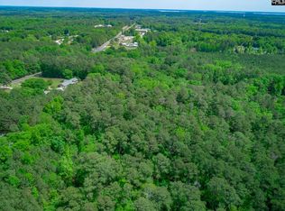 Chapin Rd, Chapin, SC 29036