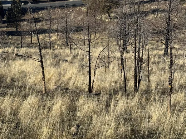 2/169 Hill Dr Unit 5, Weed, CA 96094