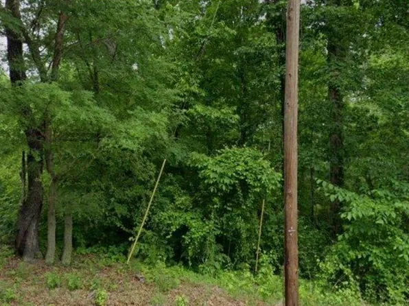 7974 Lou George Loop, Bessemer, AL 35022