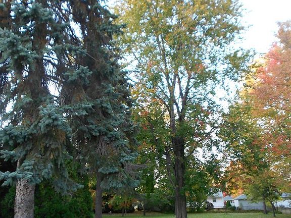 3rd image of 22290 Macbeth Ave