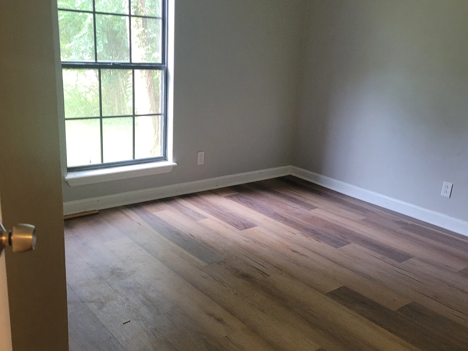 1 bed, $795 — Photo 1