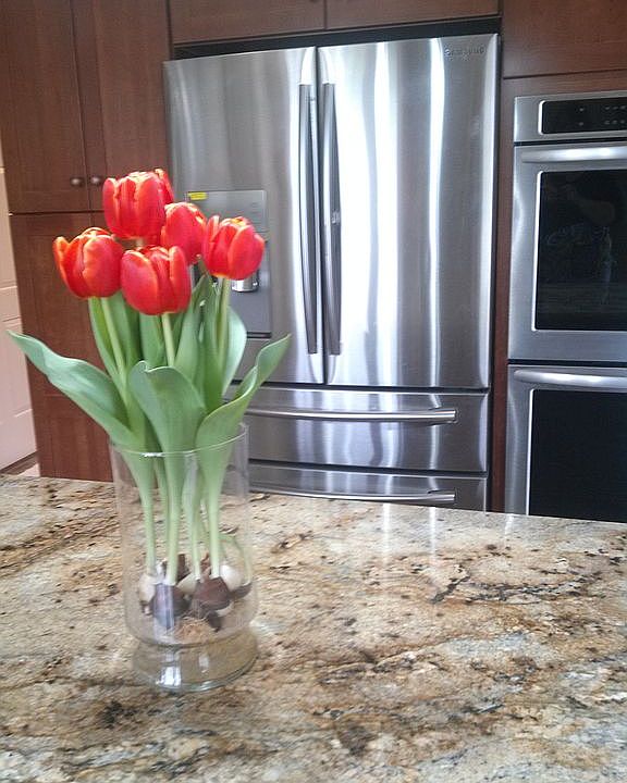 Granite/Stainless....