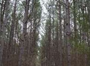 Highway 17, Camden, MS 39045