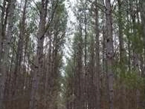 Highway 17, Camden, MS 39045