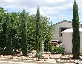 fully landscaped